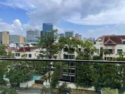 Peak Residence (D11), Condominium #551613881